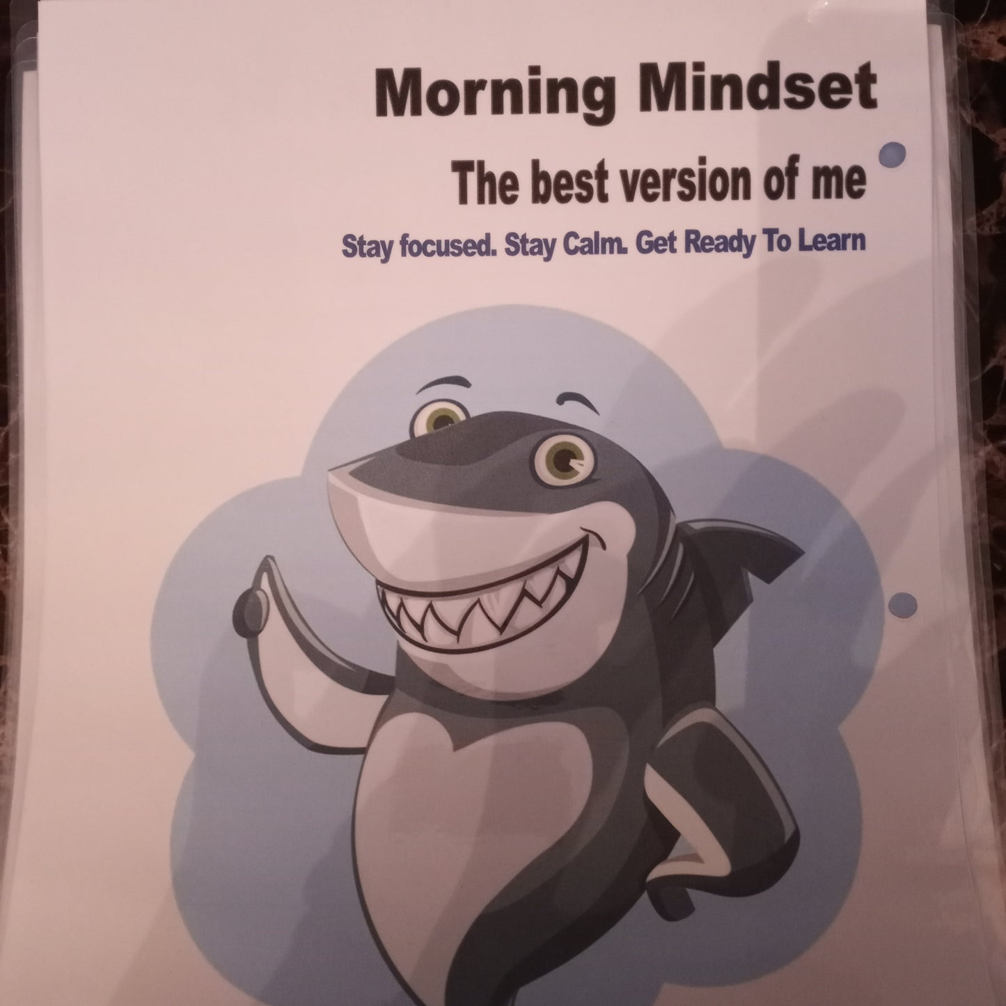 Mrs. T's Best Life Journal